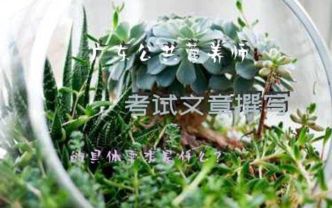 广东公共营养师考试文章撰写的具体要求是什么？