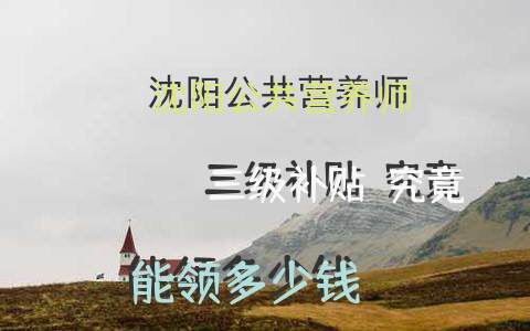 沈阳公共营养师三级补贴：究竟能领多少钱？