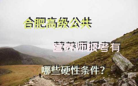 合肥高级公共营养师报考有哪些硬性条件？