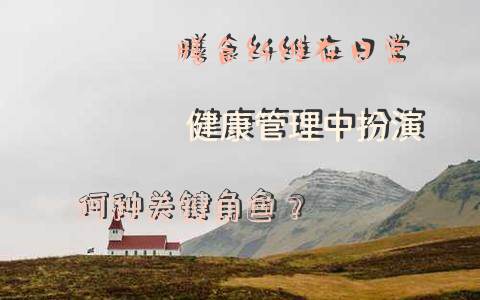 膳食纤维在日常健康管理中扮演何种关键角色？