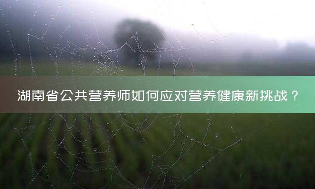 湖南省公共营养师如何应对营养健康新挑战？