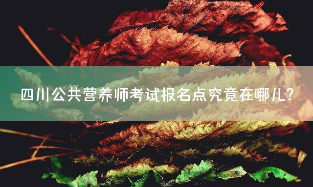 四川公共营养师考试报名点究竟在哪儿？