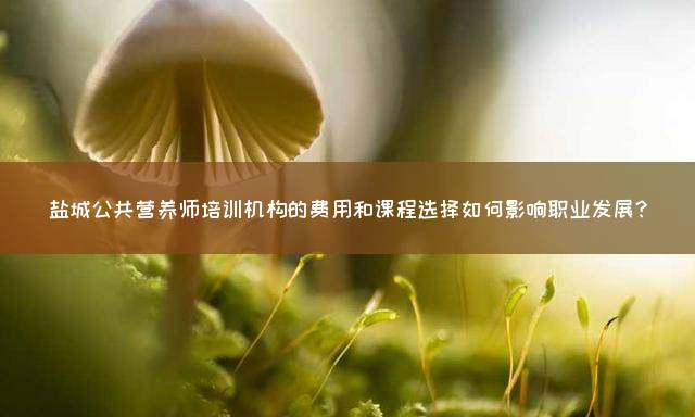 盐城公共营养师培训机构的费用和课程选择如何影响职业发展？