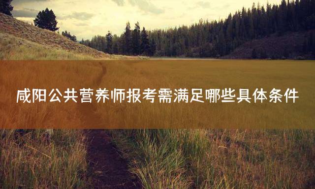 咸阳公共营养师报考需满足哪些具体条件？