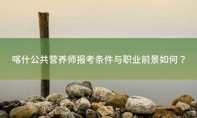 喀什公共营养师报考条件与职业前景如何？