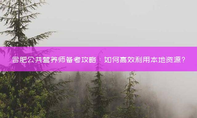 合肥公共营养师备考攻略：如何高效利用本地资源?