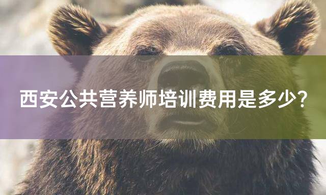 西安公共营养师培训费用是多少？