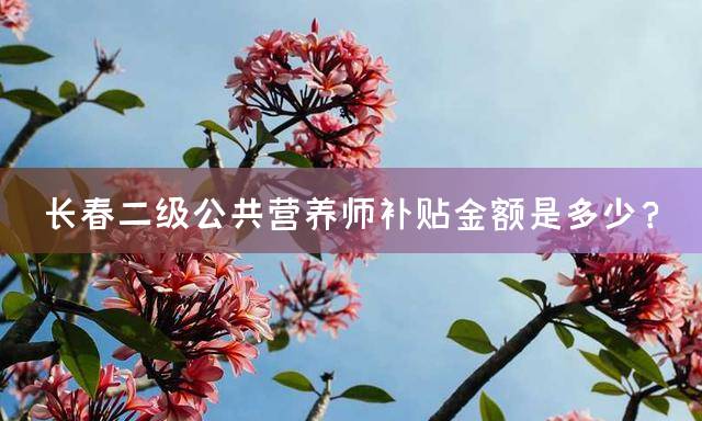 长春二级公共营养师补贴金额是多少？