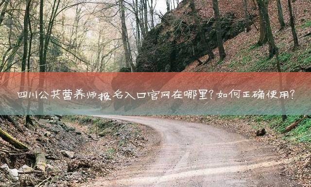四川公共营养师报名入口官网在哪里？如何正确使用？