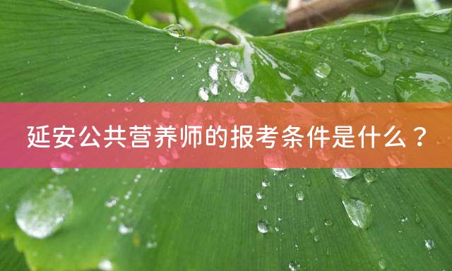 延安公共营养师报考