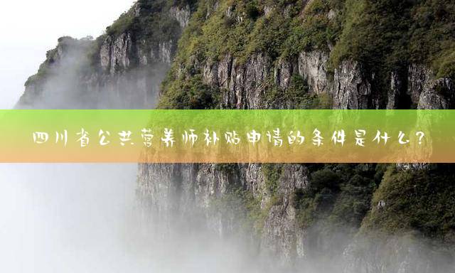 四川省公共营养师补贴申请的条件是什么？