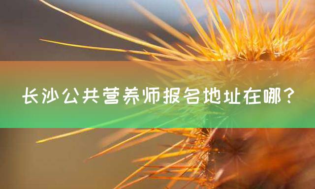 长沙公共营养师报名地址在哪？
