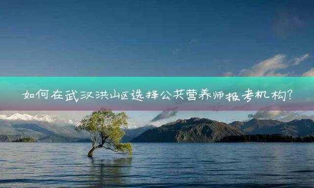 如何在武汉洪山区选择公共营养师报考机构？