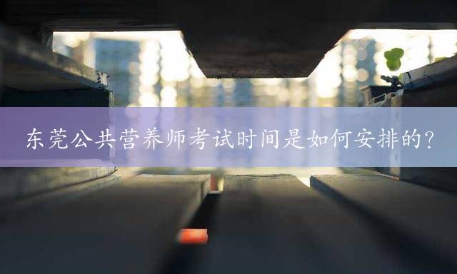 东莞公共营养师考试时间是如何安排的？