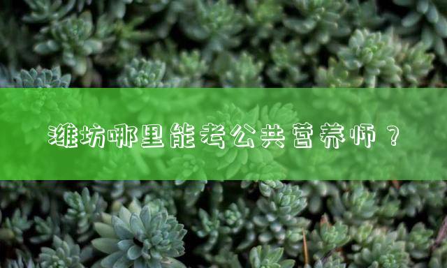 潍坊哪里能考公共营养师？