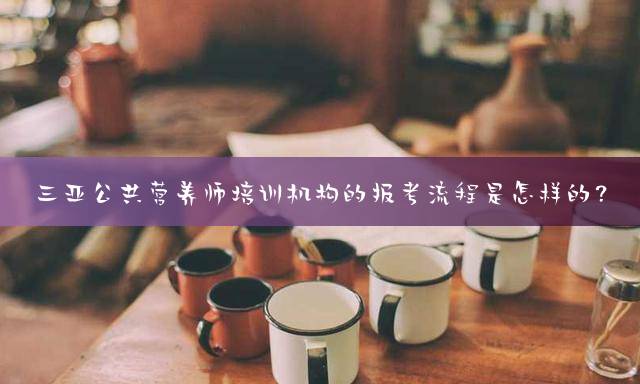 三亚公共营养师培训机构的报考流程是怎样的？