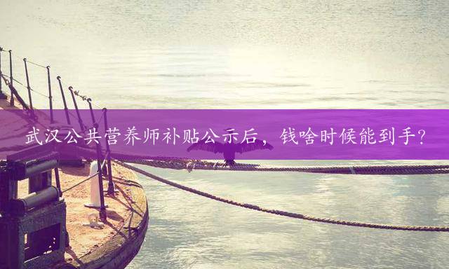武汉公共营养师补贴公示后，钱啥时候能到手？
