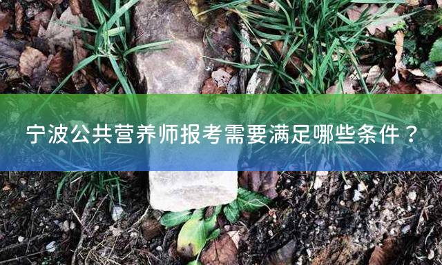 宁波公共营养师报考需要满足哪些条件？