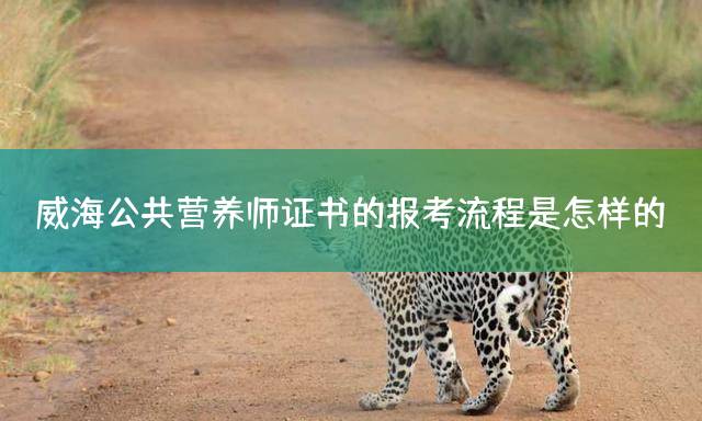 威海公共营养师证书的报考流程是怎样的？