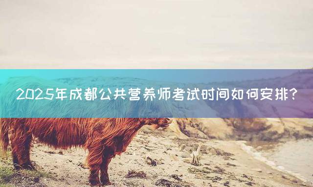 2025年成都公共营养师考试时间如何安排？