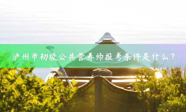 泸州市初级公共营养师报考条件是什么？