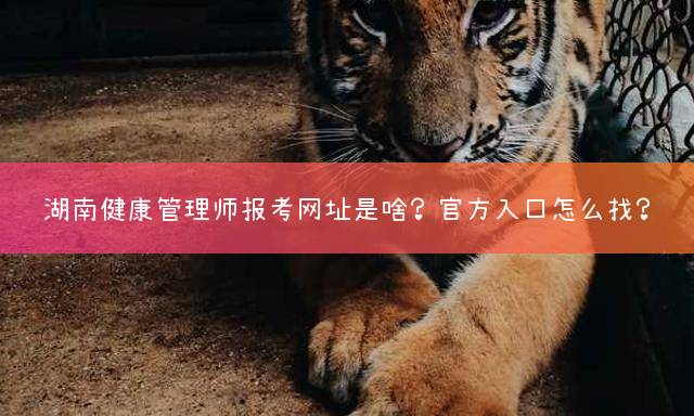 湖南健康管理师报考网址是啥？官方入口怎么找？