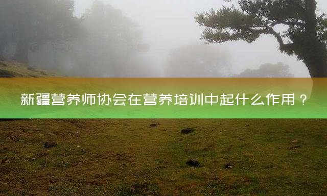 新疆营养师协会在营养培训中起什么作用？