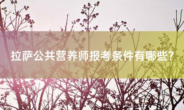拉萨公共营养师报考