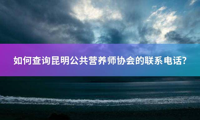 如何查询昆明公共营养师协会的联系电话？