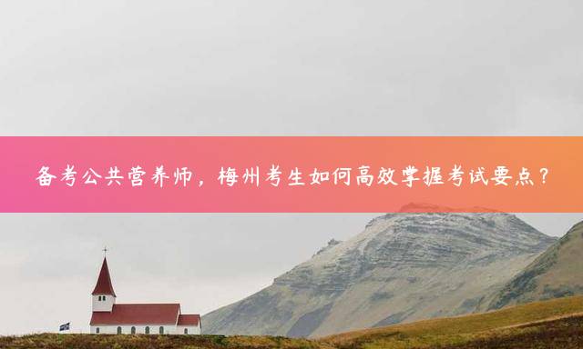 备考公共营养师，梅州考生如何高效掌握考试要点？