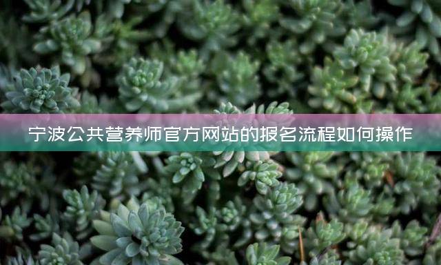 宁波公共营养师官方网站的报名流程如何操作