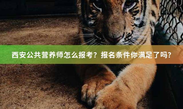 西安公共营养师怎么报考？报名条件你满足了吗？