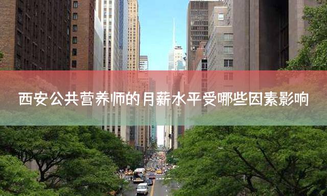 西安公共营养师的月薪水平受哪些因素影响？