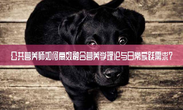 公共营养师如何高效融合营养学理论与日常实践需求？
