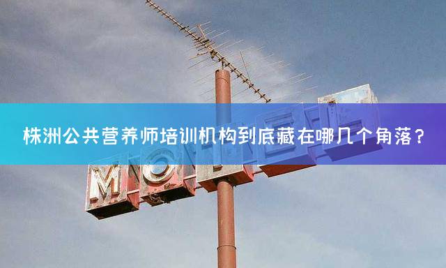 株洲公共营养师培训机构到底藏在哪几个角落？
