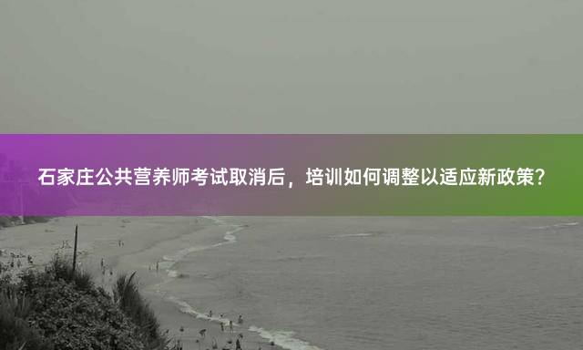 石家庄公共营养师考试取消后，培训如何调整以适应新政策？