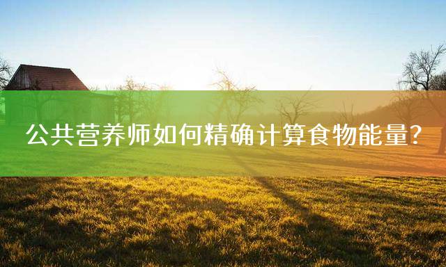 公共营养师如何精确计算食物能量？