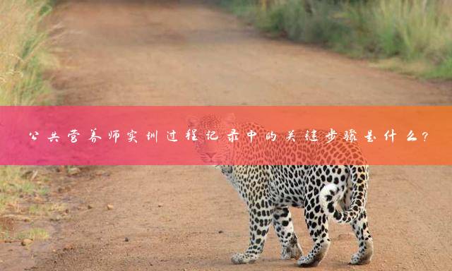 公共营养师实训过程记录中的关键步骤是什么？