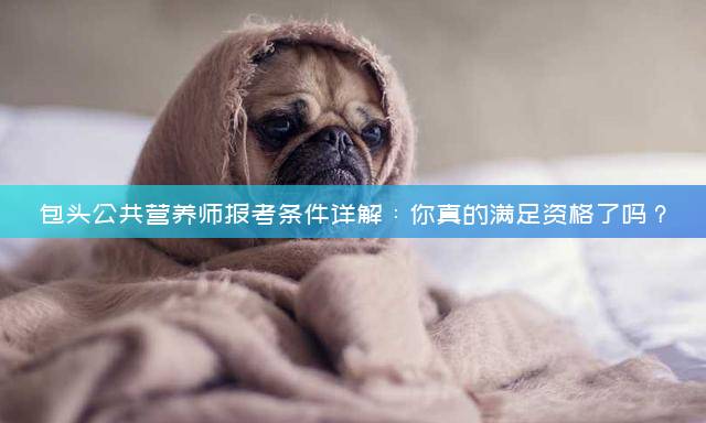 包头公共营养师报考条件详解：你真的满足资格了吗？
