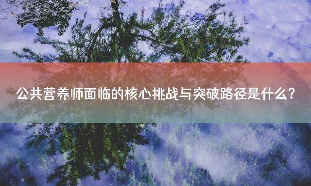公共营养师面临的核心挑战与突破路径是什么？