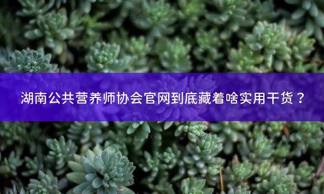 湖南公共营养师协会官网到底藏着啥实用干货？