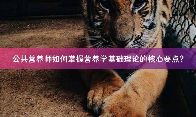 公共营养师如何掌握营养学基础理论的核心要点？