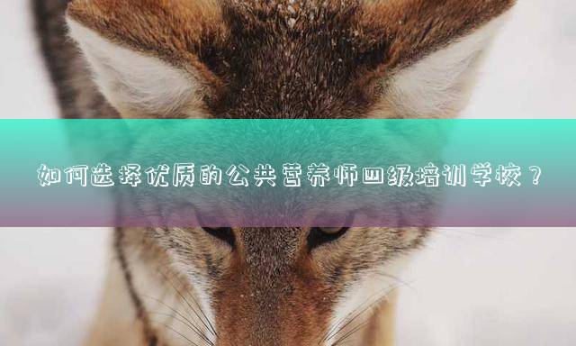 如何选择优质的公共营养师四级培训学校？