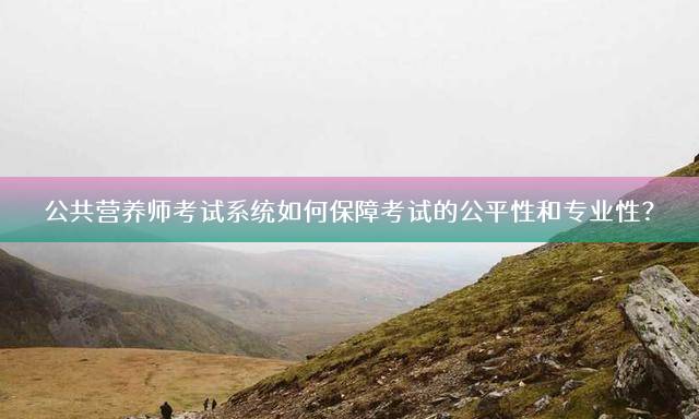 公共营养师考试系统如何保障考试的公平性和专业性？