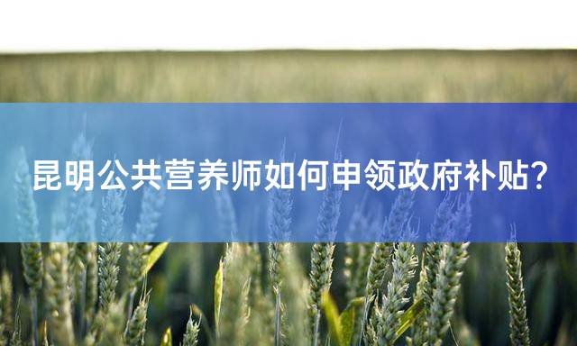 昆明公共营养师如何申领政府补贴？