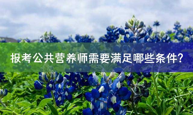 报考公共营养师需要满足哪些条件？