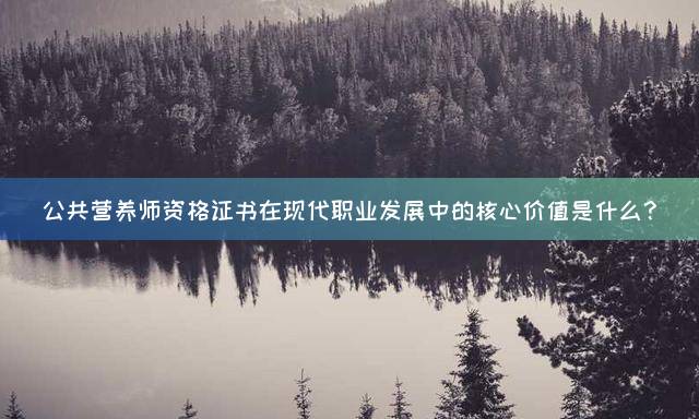 公共营养师资格证书在现代职业发展中的核心价值是什么？