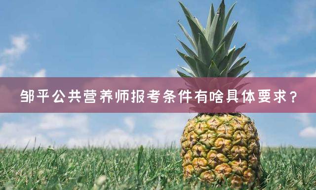 邹平公共营养师报考条件有啥具体要求？