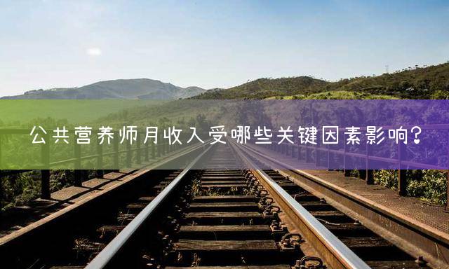 公共营养师月收入受哪些关键因素影响？