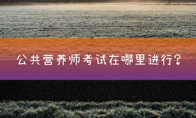 公共营养师考试在哪里进行？